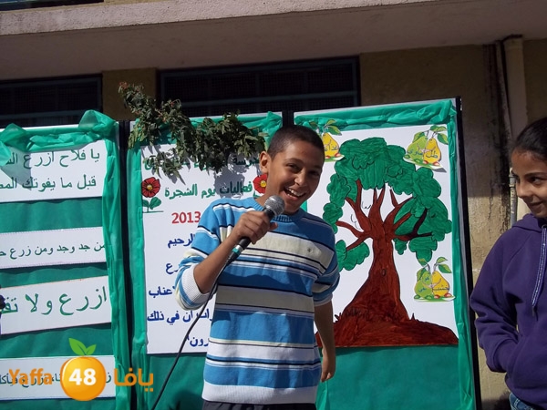 treesnewzahra2 (24).jpg